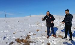 Darende’de Zorlu Kış Şartlarında Yaban Hayvanları İçin Yemleme Çalışması