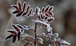 Malatya’da Dışarı Çıkacaklar Dikkat: Kar ve Buzlanma Kapıda!