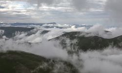 Malatya’da Kartalların Ortasında Kalan Çoban!