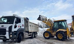 Arapgir Belediyesi’nden Sanayi Sitesinde Yoğun Kar Temizliği Çalışması