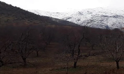 Malatya’nın En Güzel Köyü Seçildi: Giden Taşınmak İstiyor!