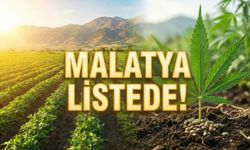 Malatya İçin Yeni Gelir Kapısı: Kenevir Üretimi Resmen Başlıyor!