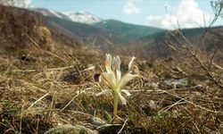 Battalgazi’deki Sır Dolu Tepe!
