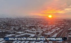 Malatyalıların Gözü Aydın! Beklenen Ödemeler Yattı