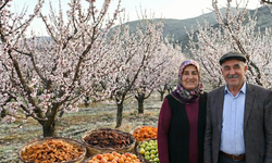 Malatya’da Kayısı Üreticilerinin Yüzünü Güldürecek Yeni Karar
