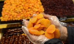 Kayısının Sahibi Kim? Malatya’da Kritik Tartışma