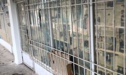 Şire Pazarı Çıkmazının Görünmeyen Yüzü