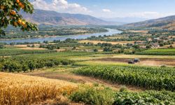 Kayısının arkasındaki sır: İşte Malatya'nın en verimli toprakları