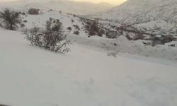 Malatya'da Dağ Keçilerine Hayat Öpücüğü!