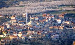 Malatya’da Hekimhan’dan Arapgir’e Daha Birçok İlçe!