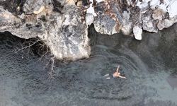 Arapgir’de Dondurucu Soğuklara Meydan Okuyan Bir Yaşam