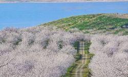 Malatya’da Suyun Isınacağı Tarih Belli Oldu: 2. Cemre Ne Zaman?