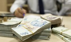 Hazine destekli tarım ve esnaf kredilerine düzenleme