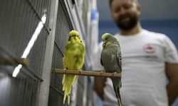 Hobisi olan muhabbet kuşlarına, evinin üstüne koyduğu konteynerde bakıyor