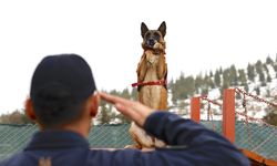 Malatya'da Depremin Sessiz Kahramanı: Sima!