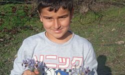 Malatya’ya Bahar Erken Geldi: Karlar Eridi, Nevruz Çiçekleri Açtı