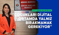 Sosyal medyada yapılan 'meydan okumalar' çocukları suça yönlendirebiliyor