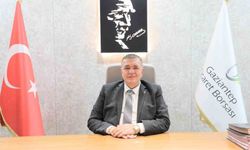 Antep Fıstığında Türkiye Dünyaya Damga Vuruyor: Üretimin Yüzde 86’sı Bu Bölgede