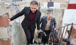 Belediyeden 400 aileye 'koç' sürprizi