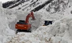 Beytüşşebap'ta çığ alarmı