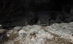 Dev kayalar köye düştü, 30 hayvan telef oldu