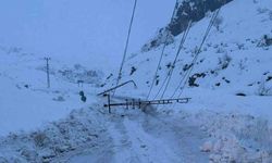 Diyarbakır'da Kar yağışı nedeniyle devrilen 300 elektrik direği yenilendi