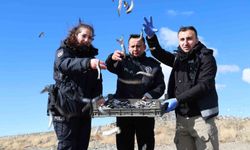 Doğu’nun Gizli Denizinde Vicdan Nöbeti: Polis Tavşanları ve Martıları Aç Bırakmadı