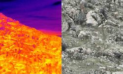 Elazığ'da Dağ keçileri termal dron ile görüntülendi