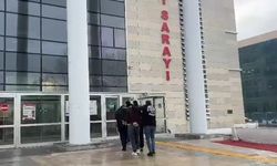 Elazığ'da Sazan sarmalı ile 3 milyon liralık vurgun yapan 2 şüpheli yakalandı