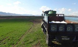 Gercüş'te çiftçilerin bahar mesaisi başladı: Tarlalar gübreyle buluşuyor