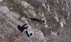 Habur'da ele geçirilen 38 kınalı keklik doğaya salındı