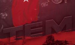 İstihbarat ve TEM’den Ortak Operasyon: FETÖ Hükümlüsü Yakalandı