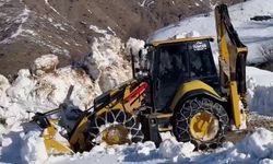 Karla mücadele çalışmaları devam ediyor