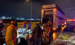 Kayseri'de taşkın riski: 200 hayvan tahliye edildi