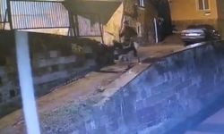 Kayseri'ye forklifle gelmiş, eşekle kaçmış