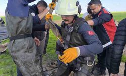 Mahalleliyi Sevindiren Kurtarma! Kuyuya Düşen İnek Sağ Olarak Çıkarıldı