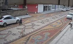 Mardin'de sokak köpeklerinin saldırdığı çocuğu esnaf kurtardı