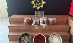 Salça ve peynir kovalarından uyuşturucu çıktı