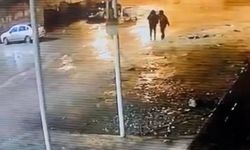 Şanlıurfa Siverek'te 19 koyun çalındı: Hırsızlık anı kamerada