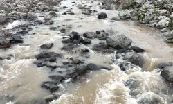 Şanlıurfa'da Yoğun yağışlar çiftçinin yüzünü güldürdü