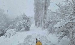 Siirt'te karla kaplı yollar ulaşıma açıldı