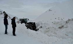 Şırnak Beytüşşebap'ta kar kalınlığı yer yer 3 metreyi buldu