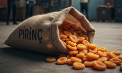 Gümrükte "Pirinç" Dediler, İçinden Kayısı Çıktı! Ağbaba İfşa Etti