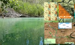 Tohma Çayı Zehir mi Taşıyor? Üniversitenin Raporunda 'Ağır Metal' ve 'Kanser' Detayı!