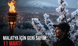 Berdül-Acüz Kabusu: Malatya’da Kayısı Yanması Riski! 11 Mart’a Kadar Hazırlanmayan Yanar!