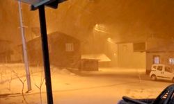 Malatya'da Bahar Beklenirken Kar Geldi!