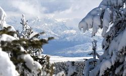 Erzurum, Ardahan, Kars ve Ağrı'da dondurucu soğuk hava etkili oluyor.