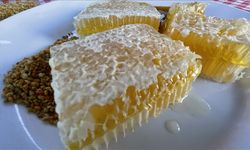 AB’den tescil aldı: Yenice ıhlamur balı dünya sahnesine çıkıyor