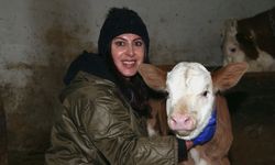 Devlet desteğiyle başladı: Karslı kadın üretici 17 düveyi 200 hayvana çıkardı