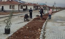 Doğanşehir’de Konutlara Yeşil Dokunuş